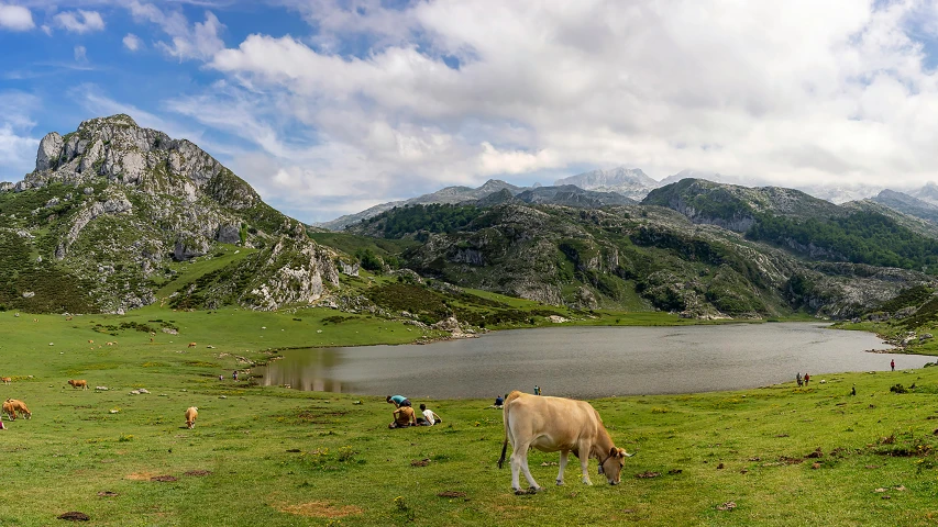 some animals grazing on some grass by some water