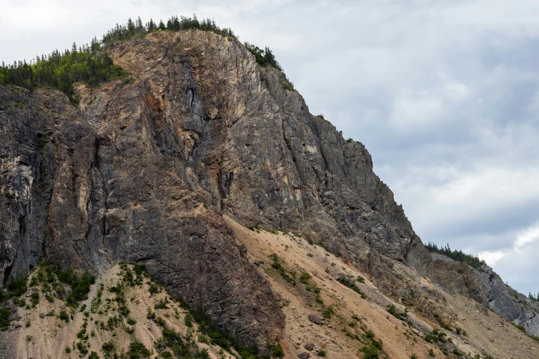 a mountain side with pine trees on top of it