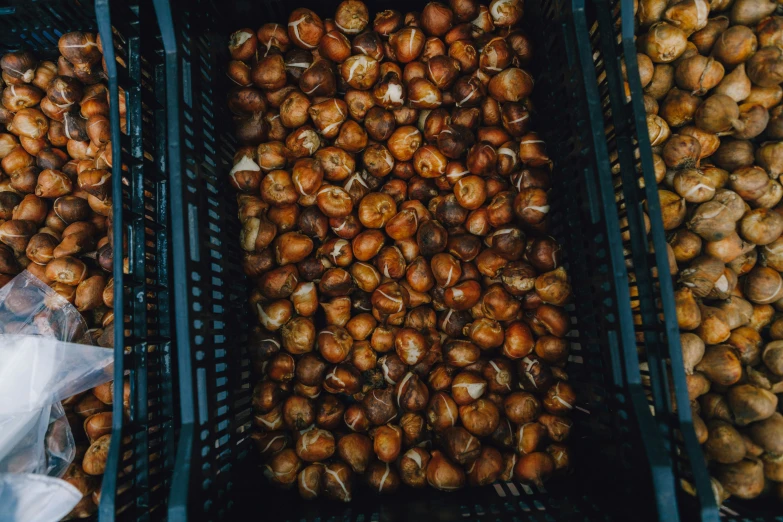 a pile of hazel nuts in black baskets