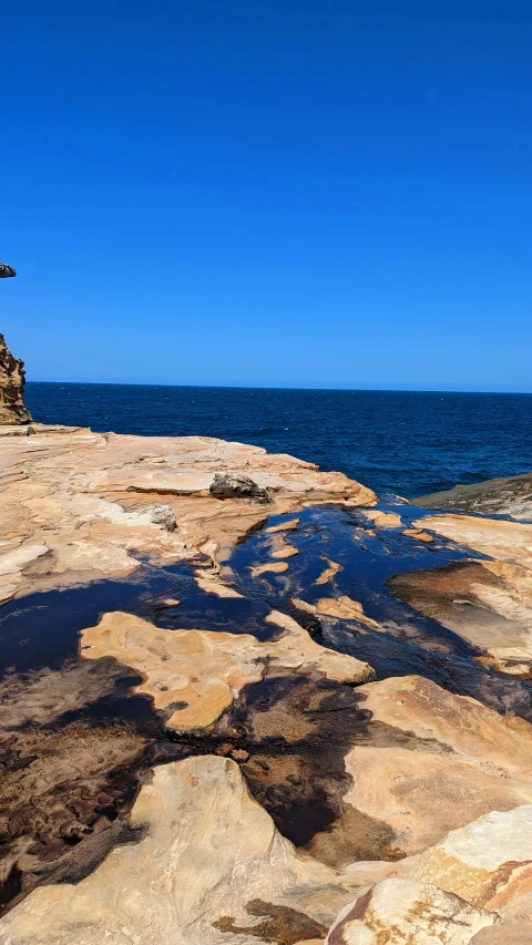 a couple of small birds sitting on the rocks next to the ocean