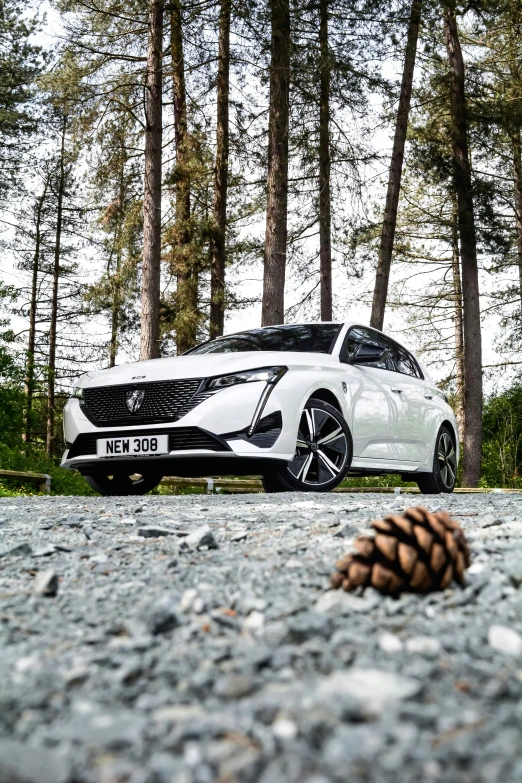 an acrobatic car is parked in a forested area