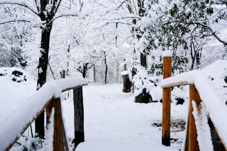 there are some snow covers the fence posts