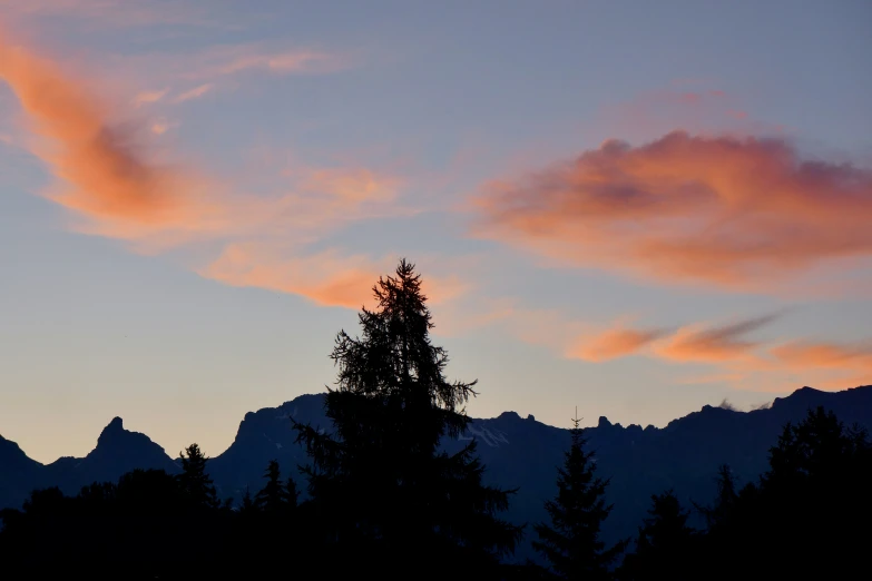 tree with bright pink clouds and mountain in the background