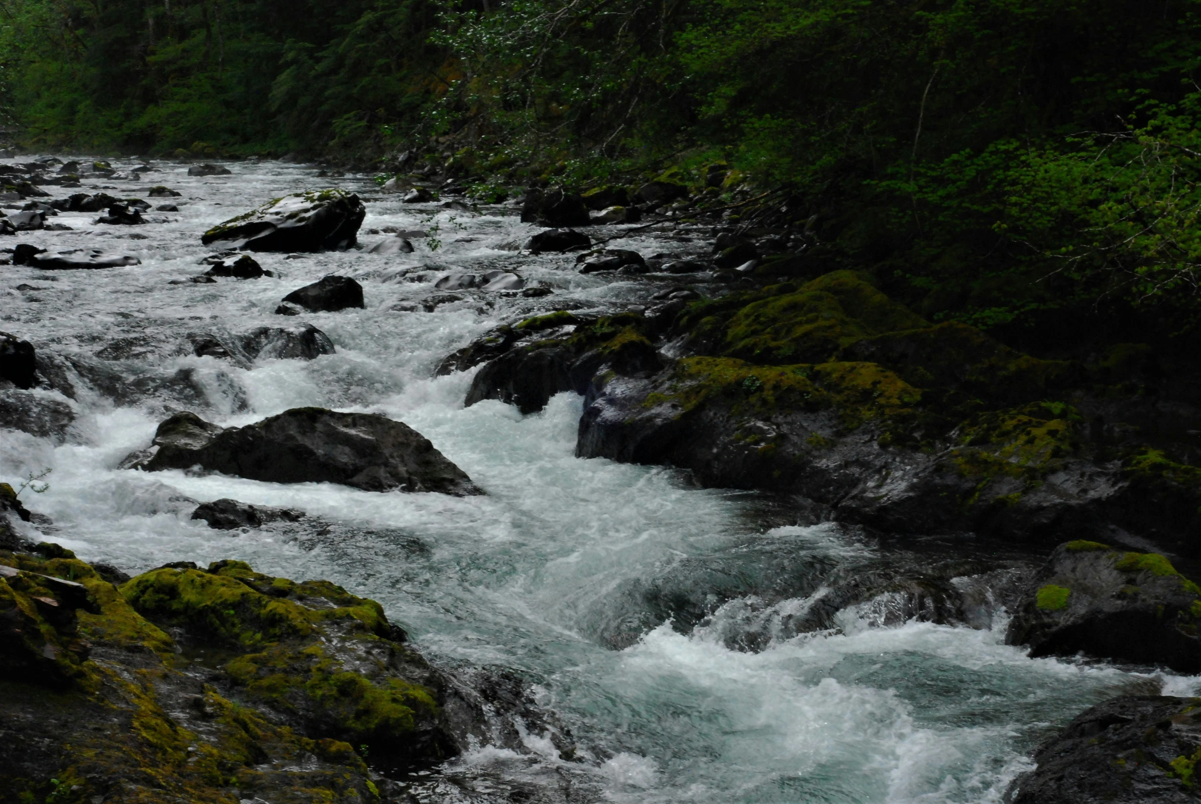 a stream that has some green moss growing on it