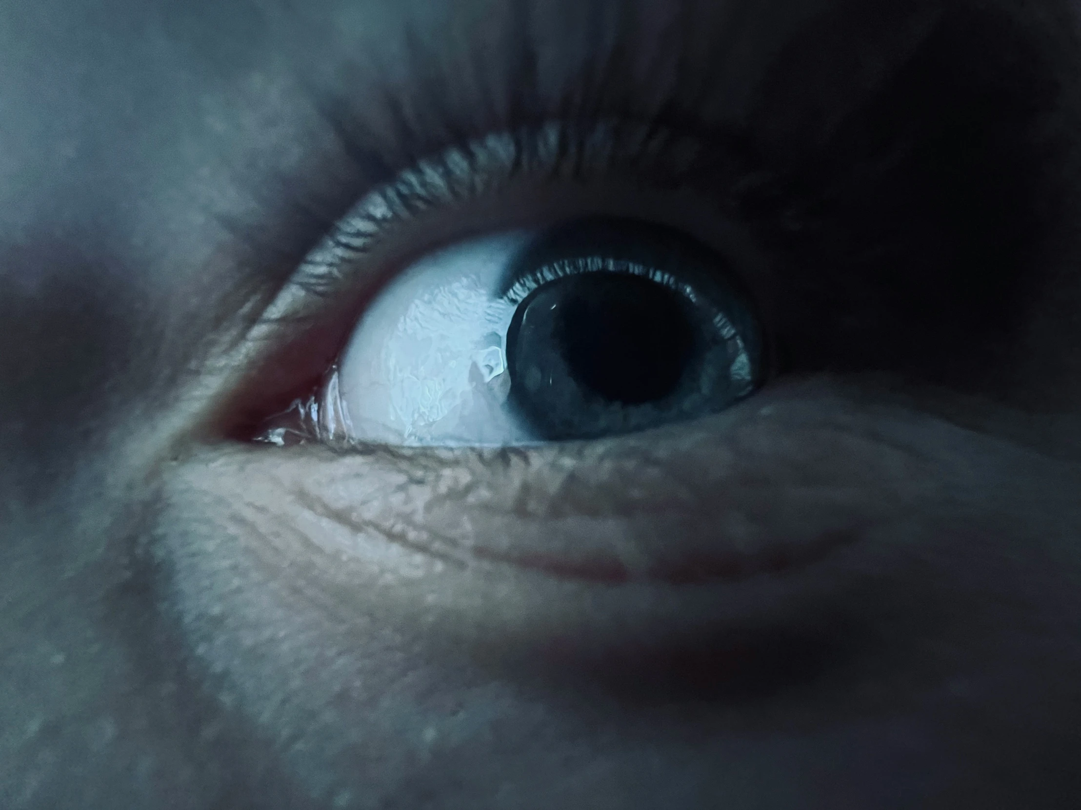 an intense looking person's eye as seen in the camera