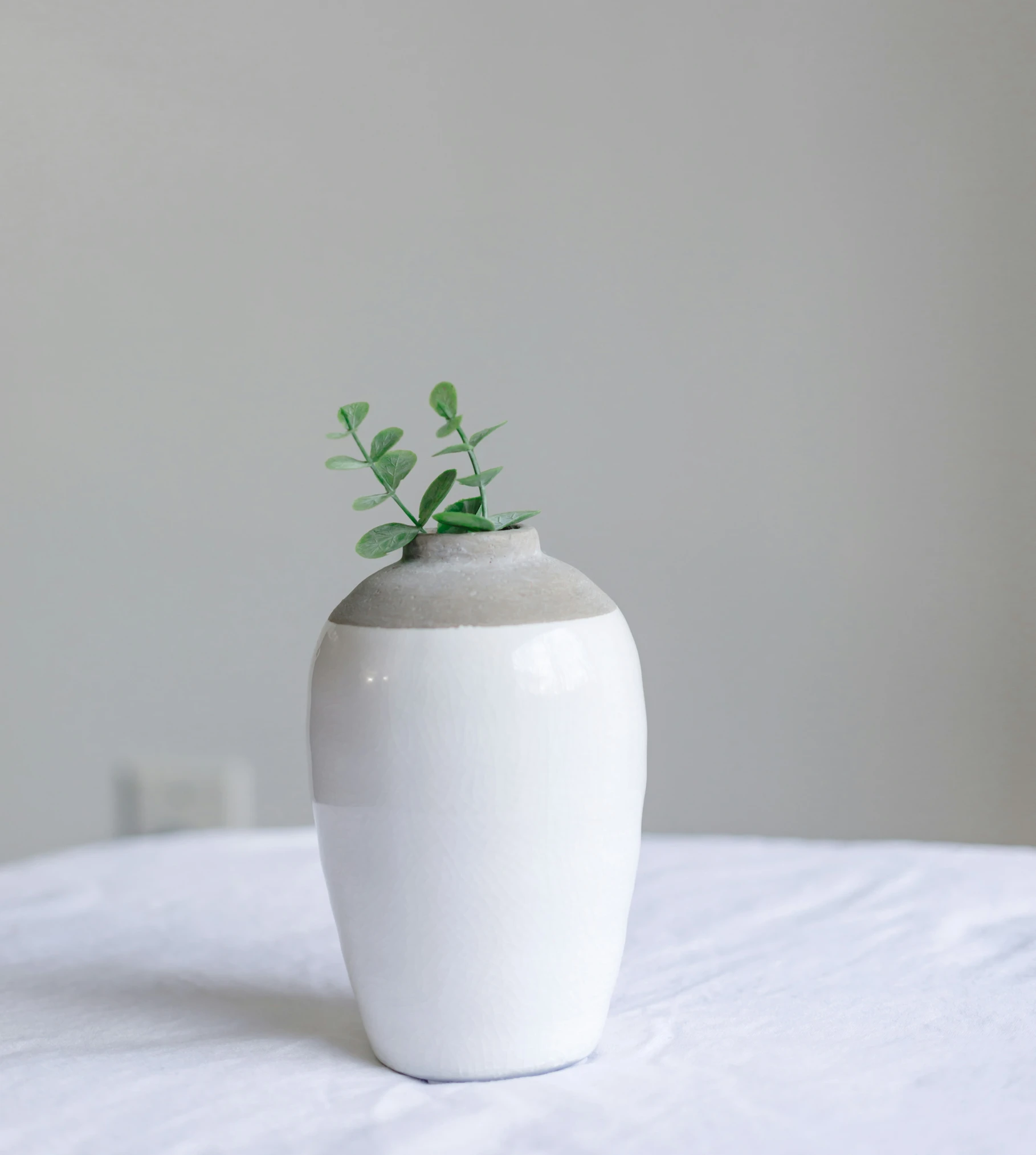 a ceramic plant in the center of a white vase