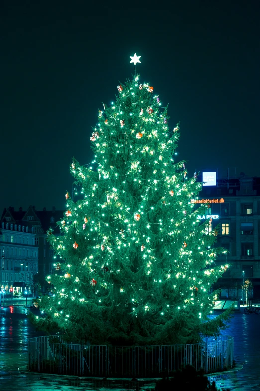 a brightly lit christmas tree on the river bank