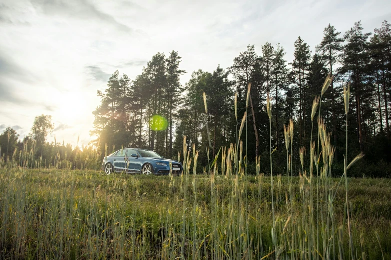 a car parked on the side of a grass covered road