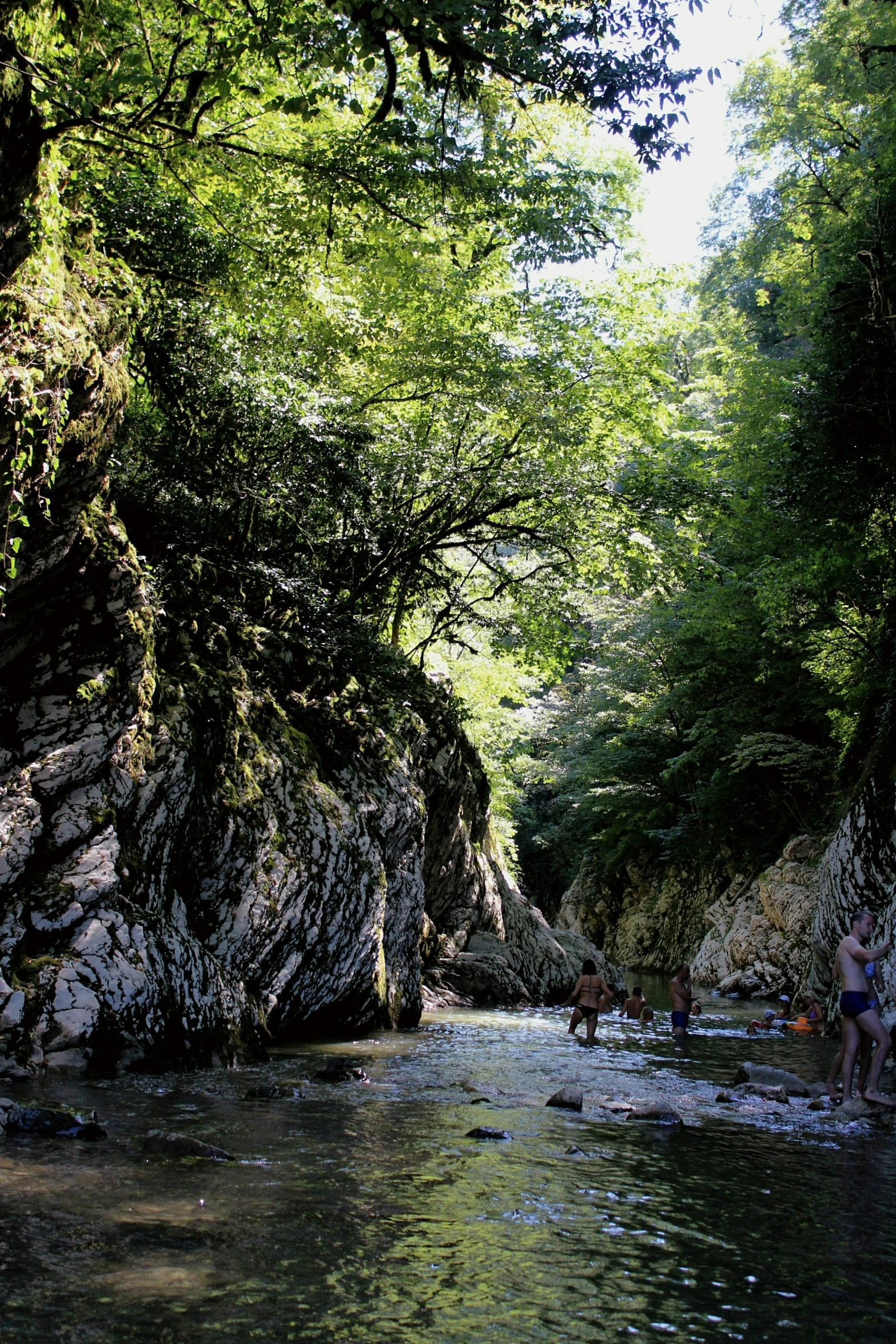 some people walking in a stream with rocks