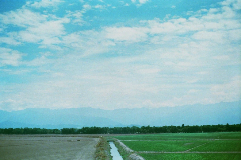 a road next to a field with some water coming down the side