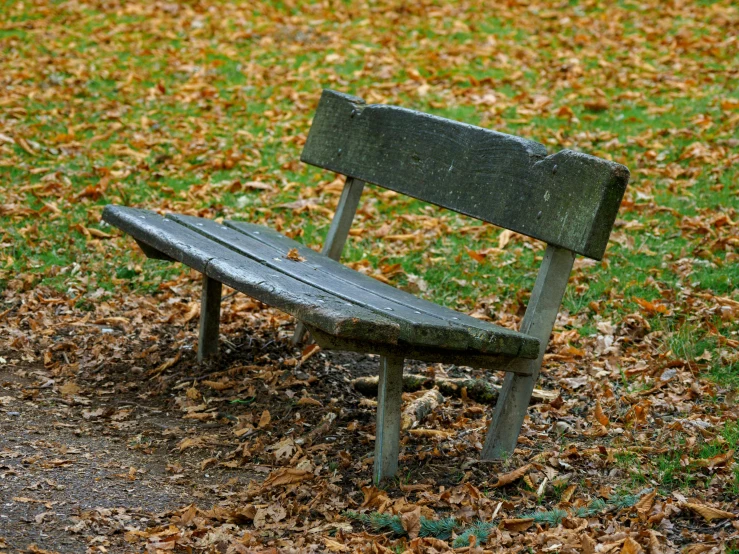 a bench in a park with the leaves around it