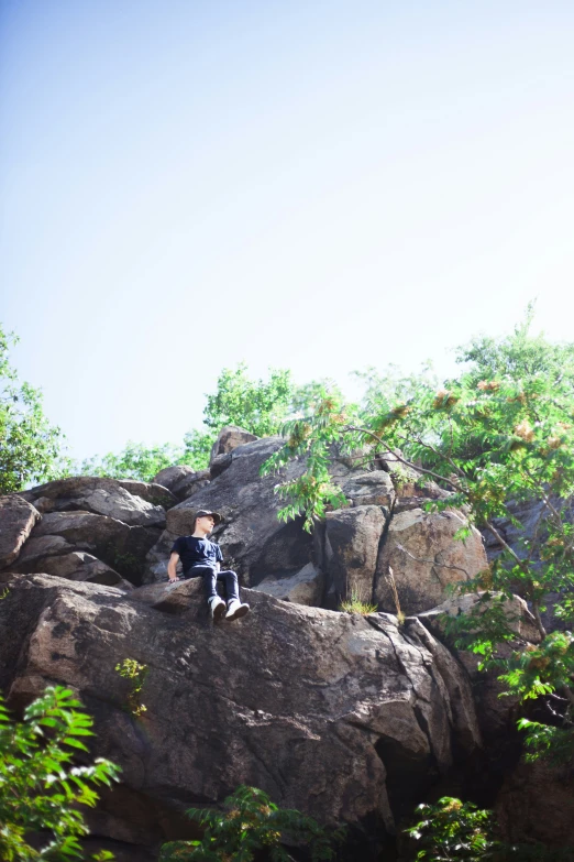 a man sitting on a rock surrounded by trees