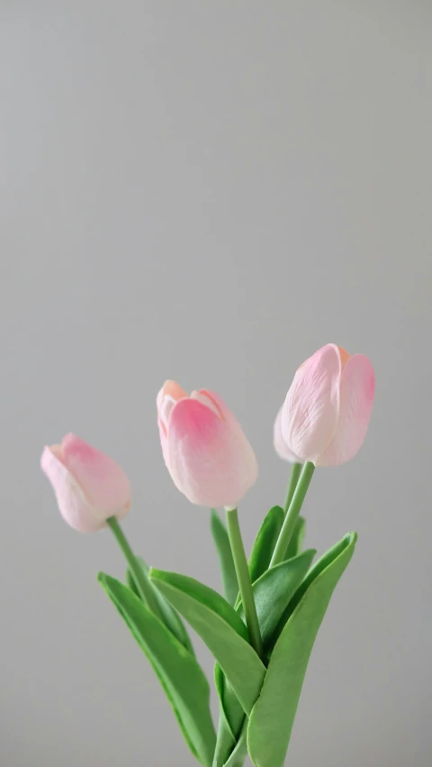 a small vase with three pink flowers in it