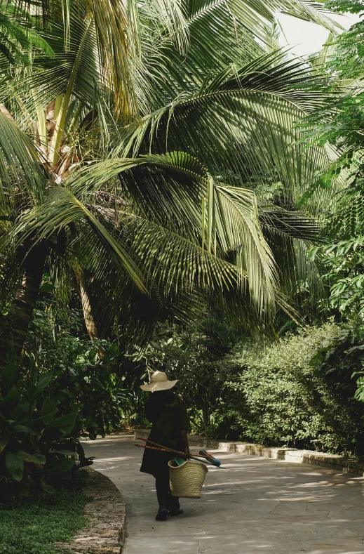 a person walks with a wicker basket past palm trees