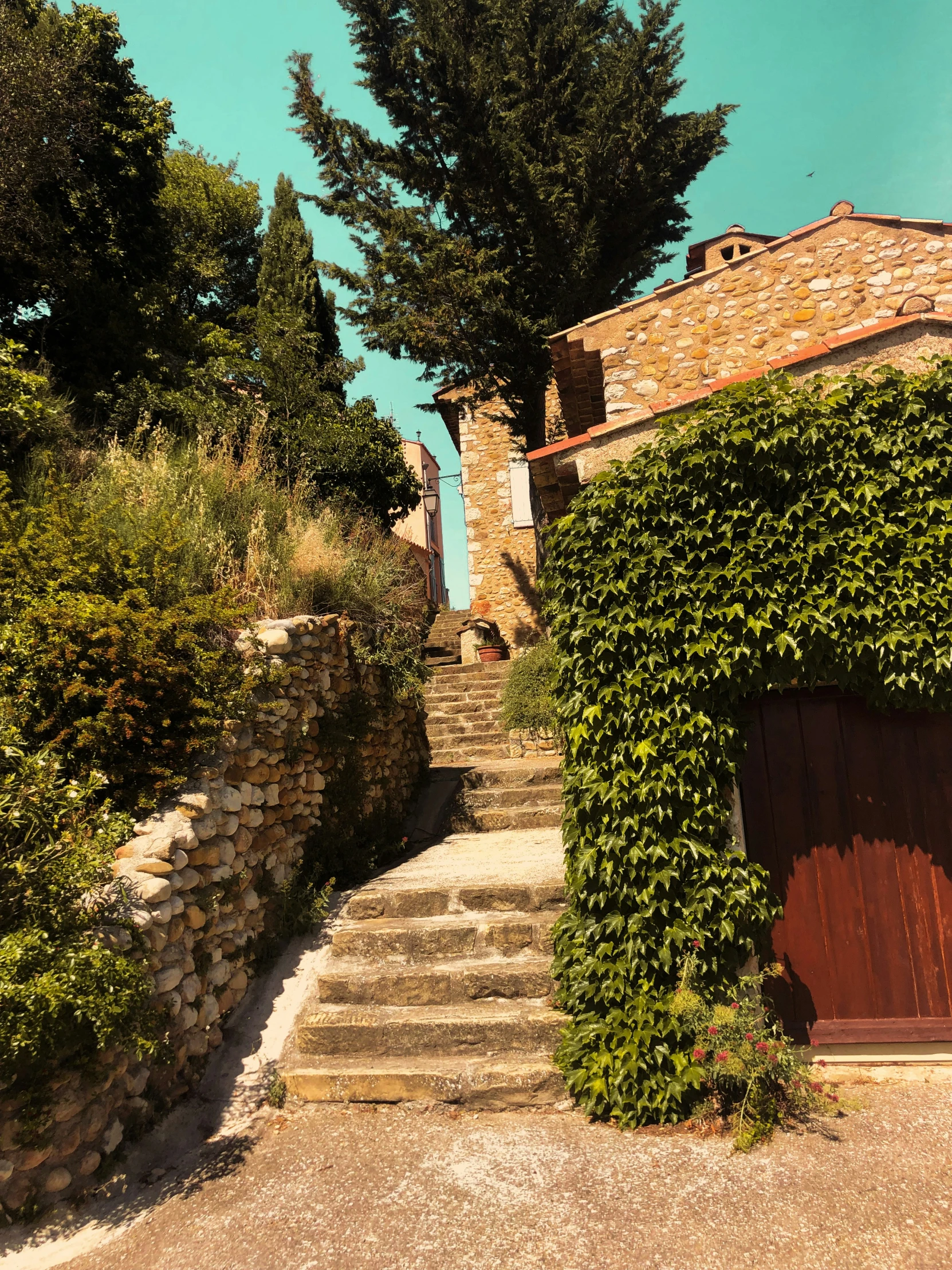 the stairs lead up to the house and trees