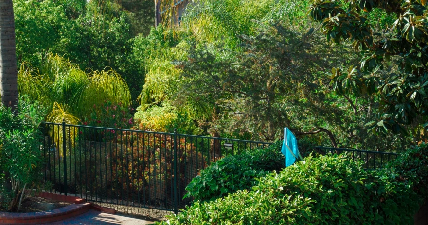 a man is walking along the path of trees