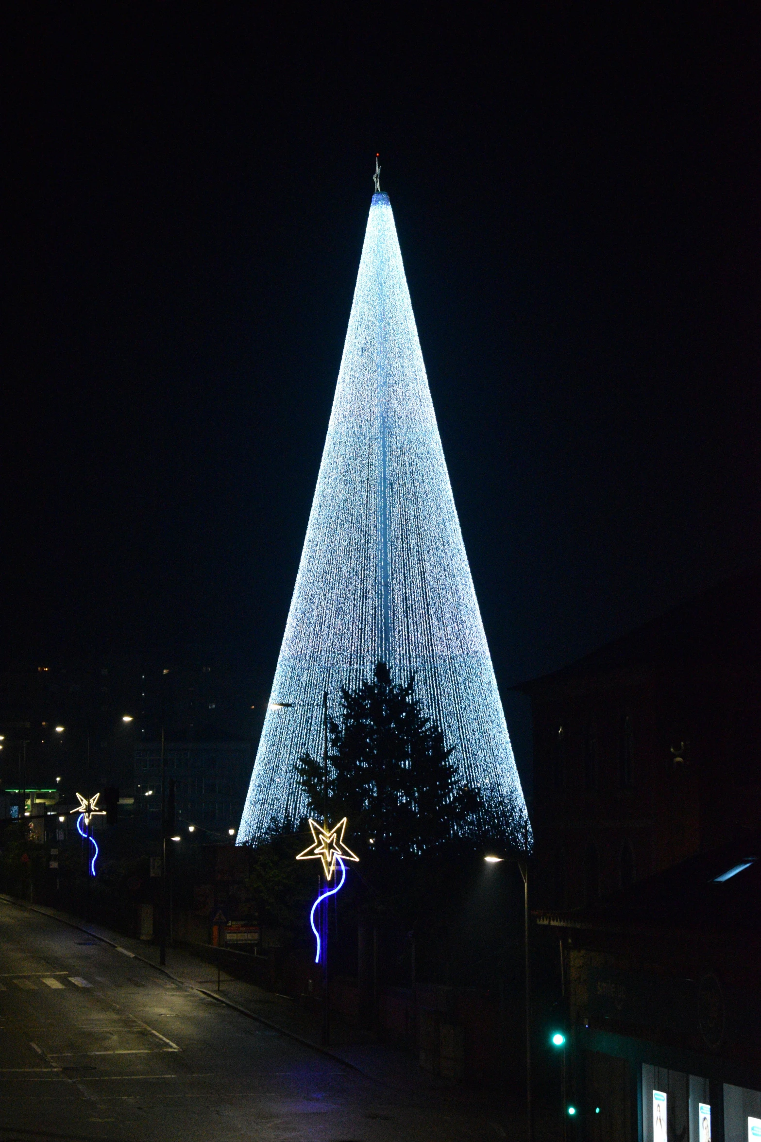 there are two trees that are lit up in the night