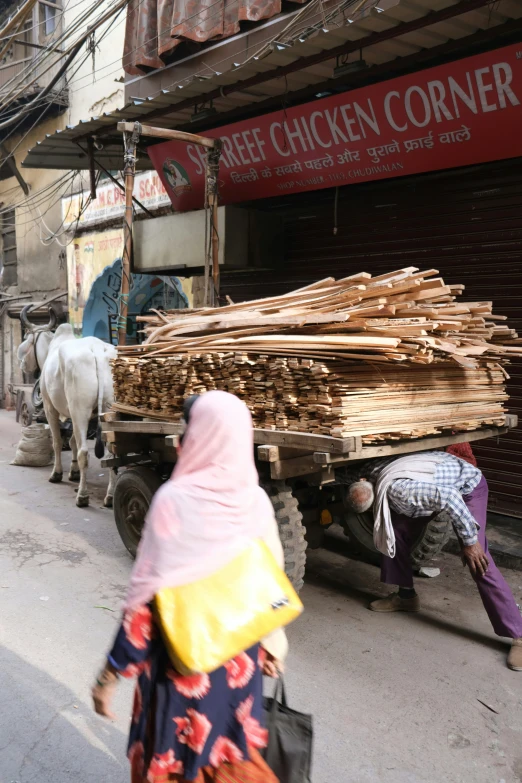 the woman hes a wagon that is carrying wood