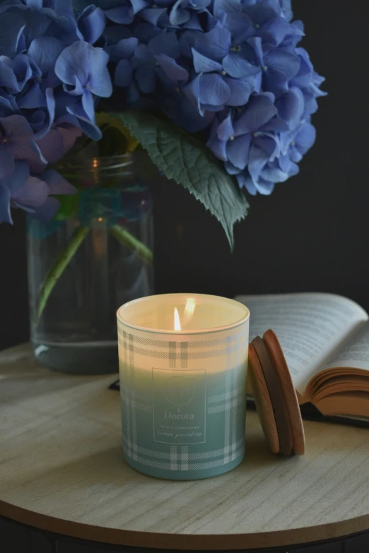 a blue hydrant and two books on a wooden table