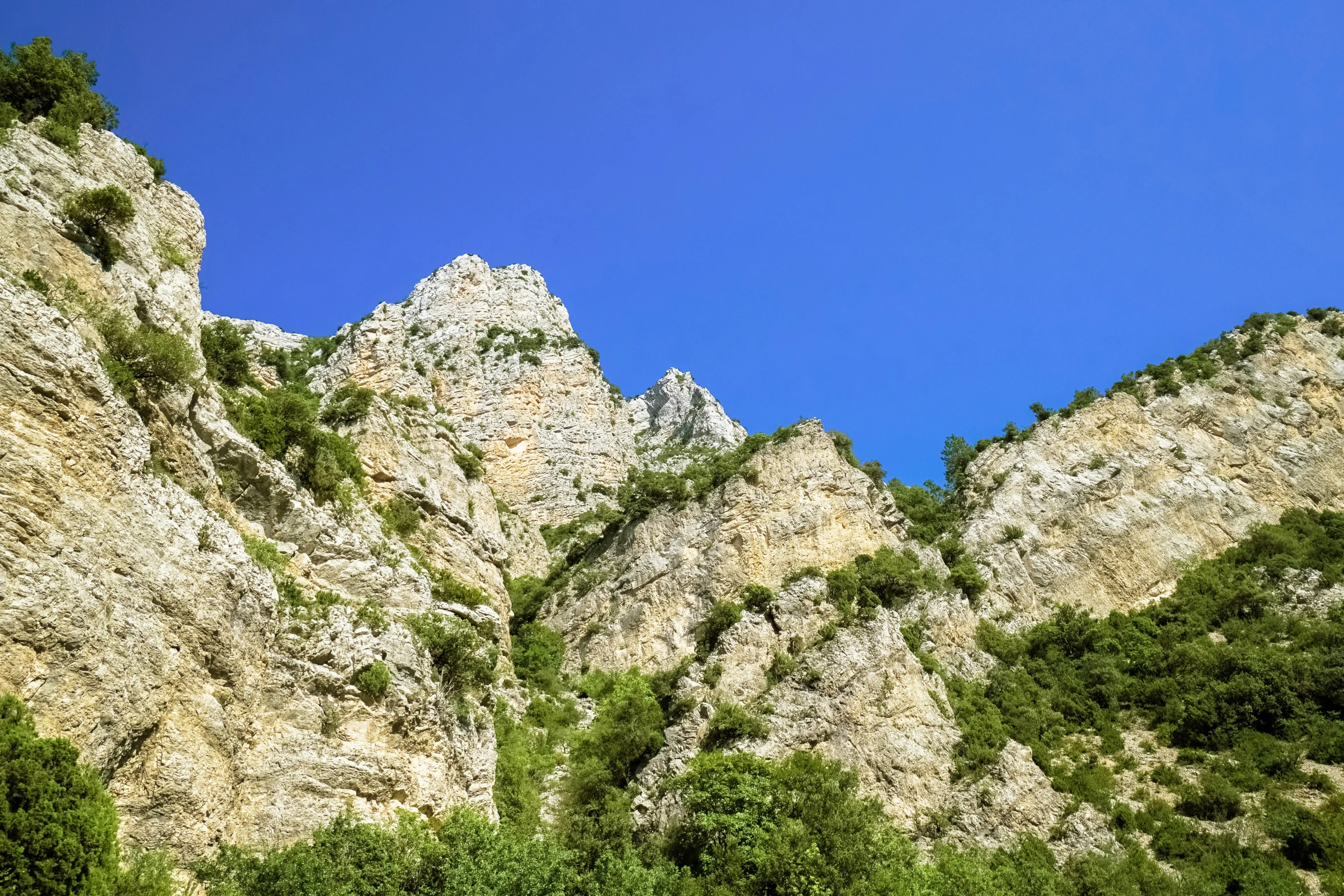 the mountain side is full of green trees