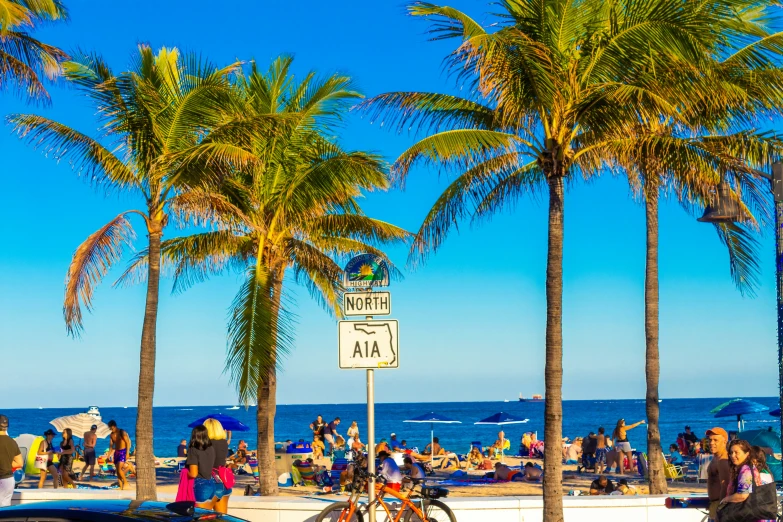 a sign reading keep in the water is surrounded by palm trees