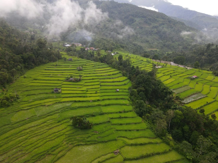 an overview of a hill with lots of green grass