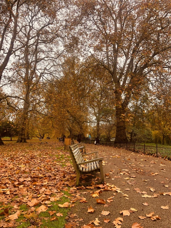 a park bench sitting among leaves and trees