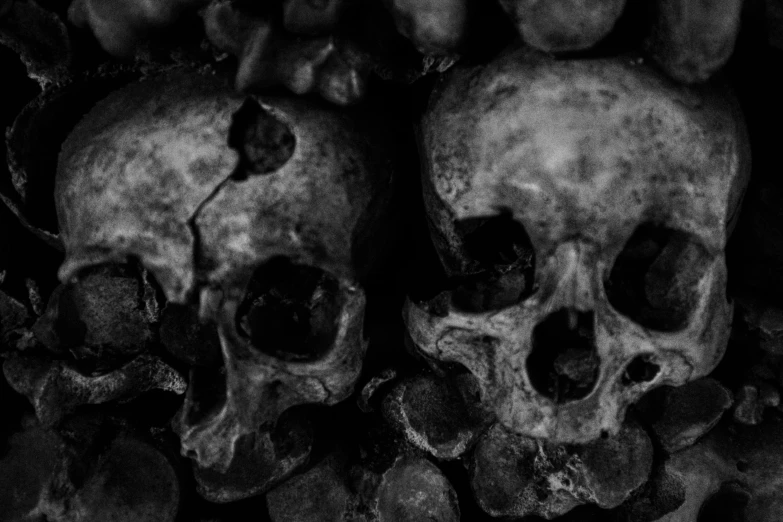 black and white pograph of a bunch of skulls