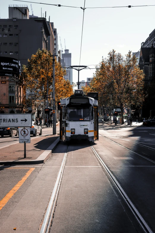 bus on city street on a sunny day