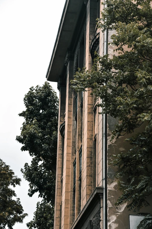 an old building in the background is seen under a tree