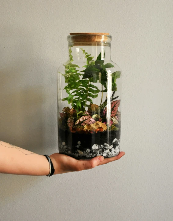 a person holding a glass jar with plants inside