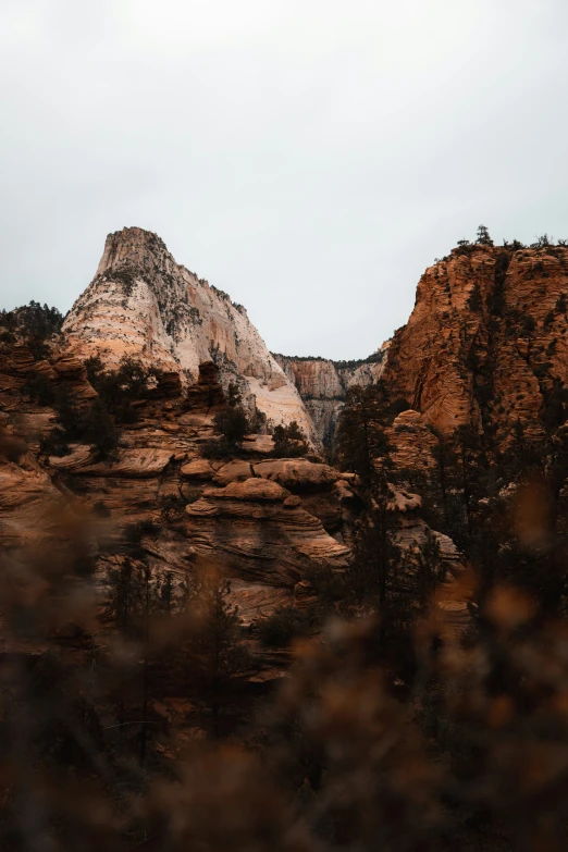 an area that has some mountains and trees in it