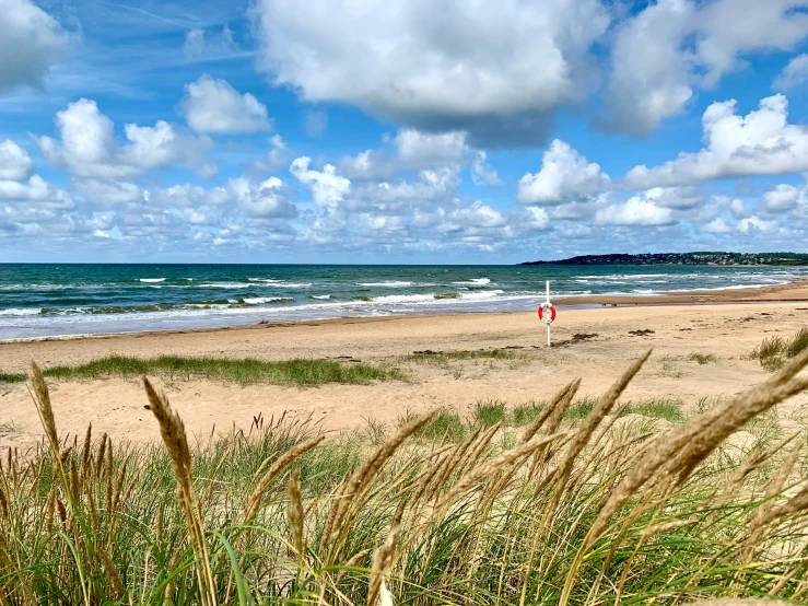 a beach with lots of grass next to a shore