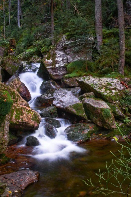 a small waterfall in the middle of a green forest