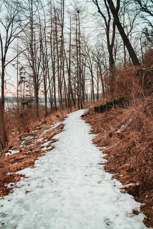 the path runs along a snow - covered hill through the trees