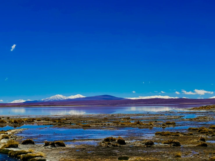 the ocean in front of a snow capped mountain range