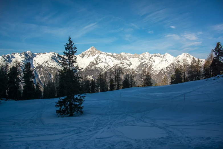 a mountain covered with snow with trees on top