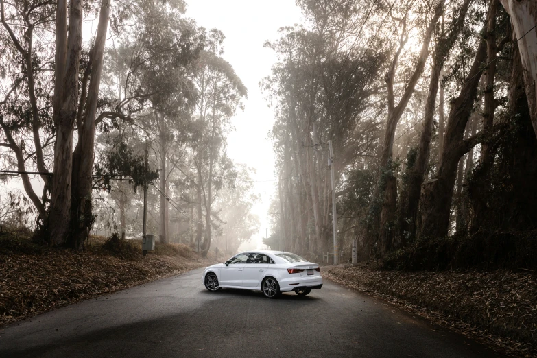 a white car driving down a road through some trees