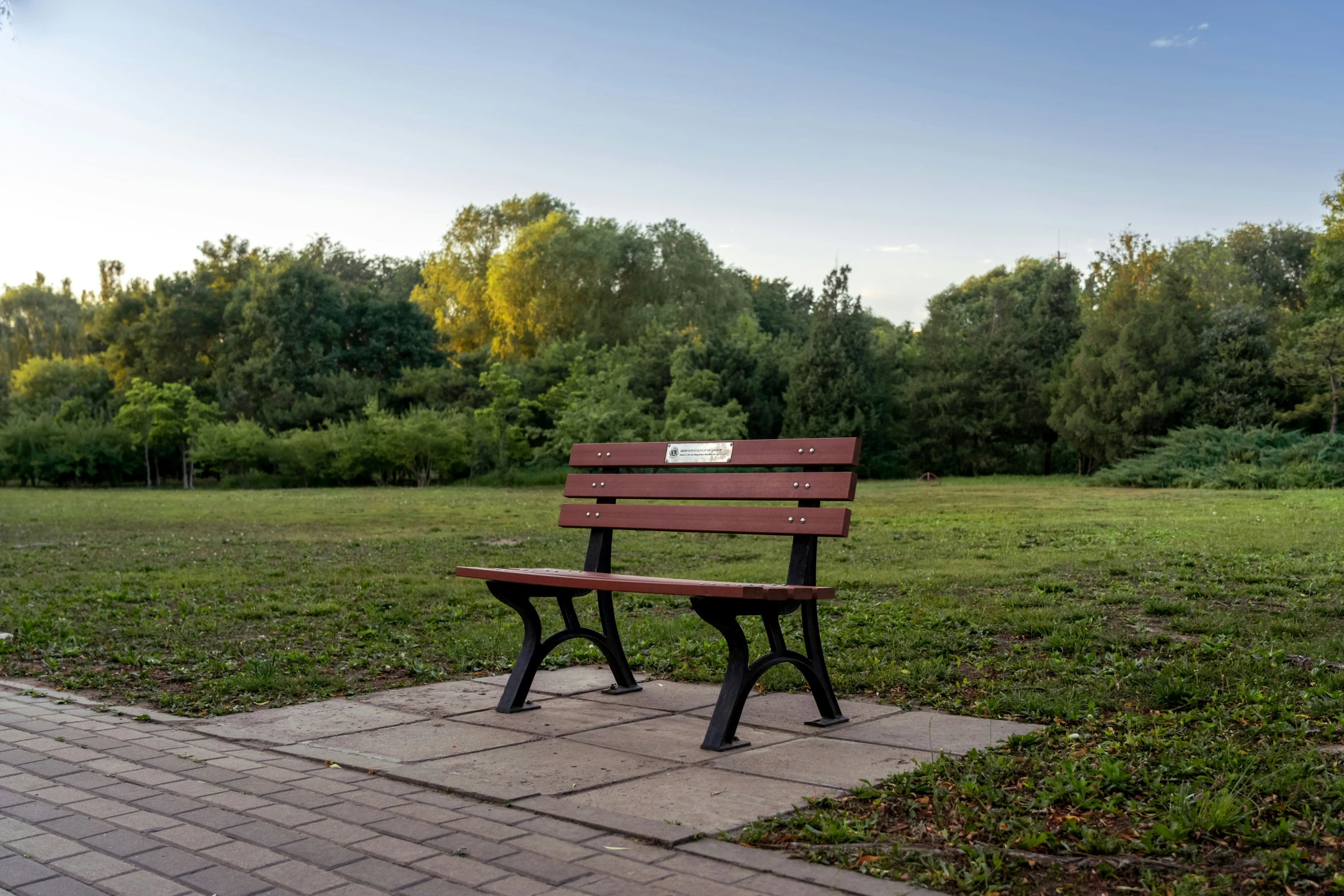 a bench in a park is empty of people