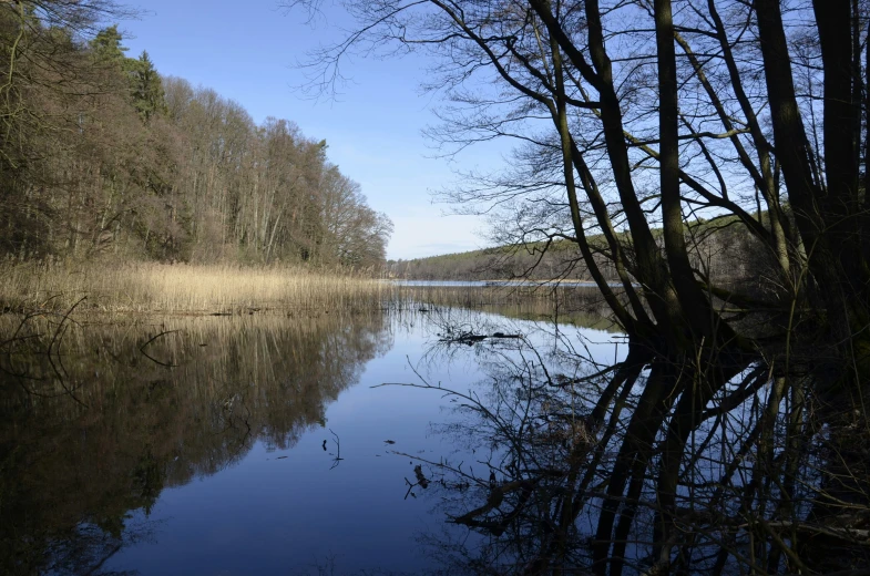 an empty river with dead trees in the foreground and a lake with a low bank