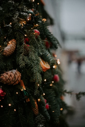 pine cones and other christmas decorations decorate the christmas tree