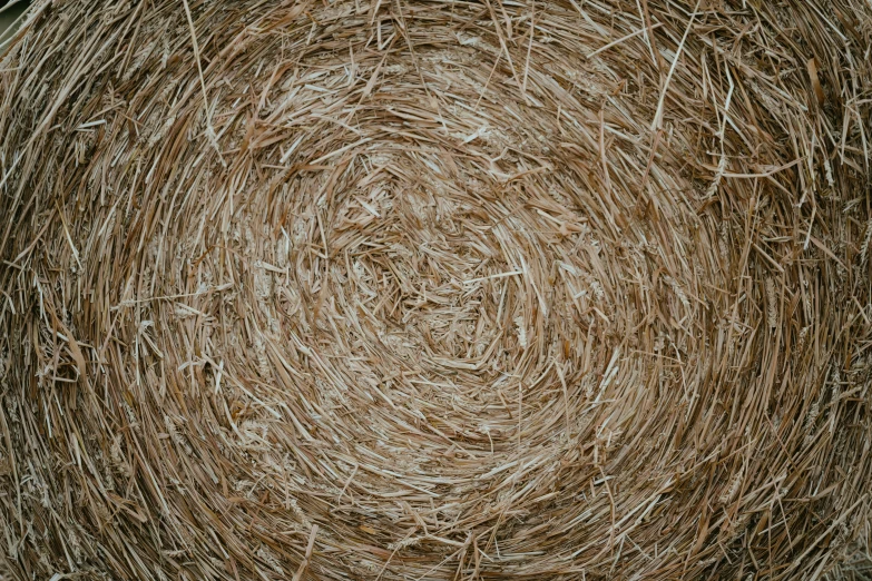 round hay textured pattern in shades of gold