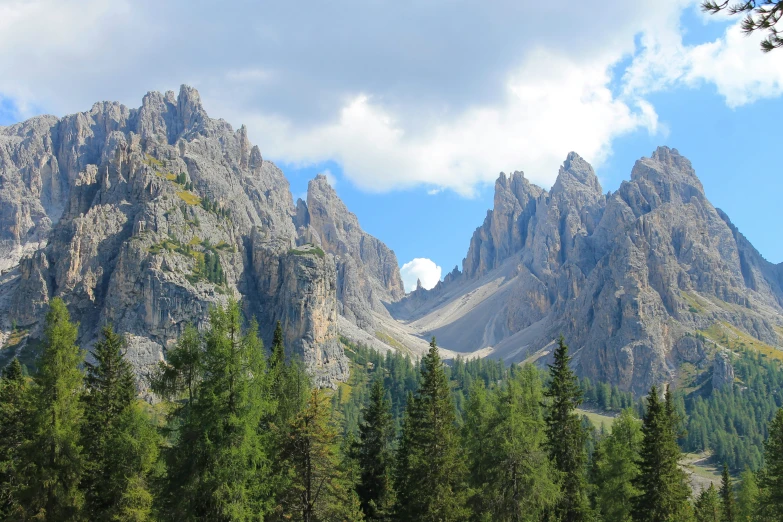 a very tall mountain with lots of trees