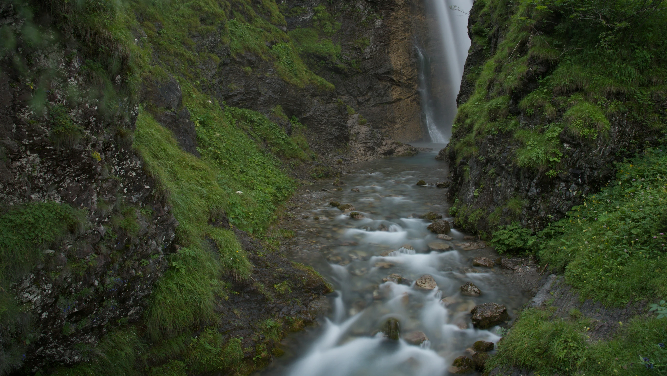 small waterfall in an enclosed area next to lush vegetation