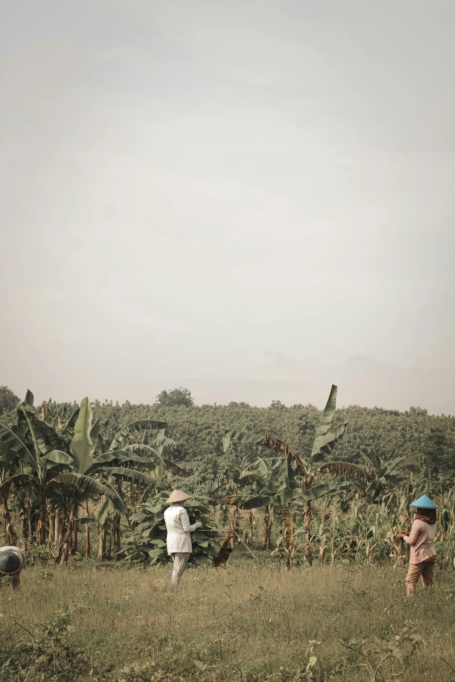 two people are standing in a field with a giraffe