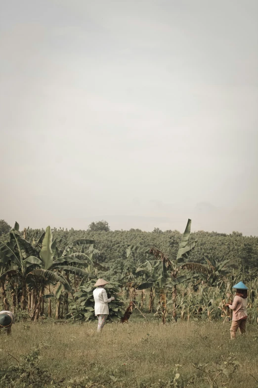 two people are standing in a field with a giraffe