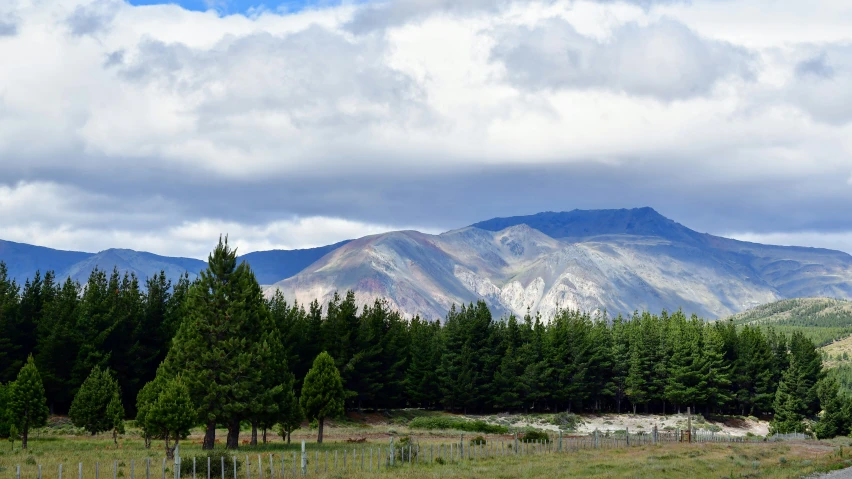 a beautiful mountain range with tall pine trees