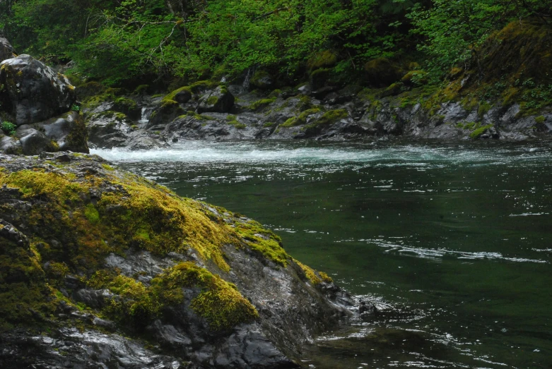 an image of a man wading in the river