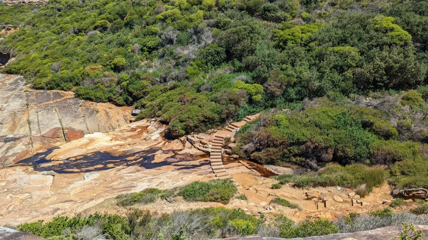 an aerial view of some trees and rocks