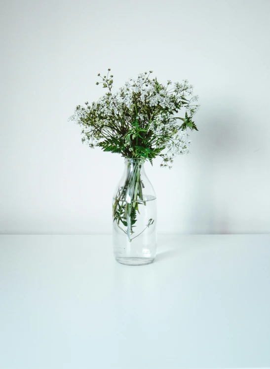 an image of a vase with green plants in it